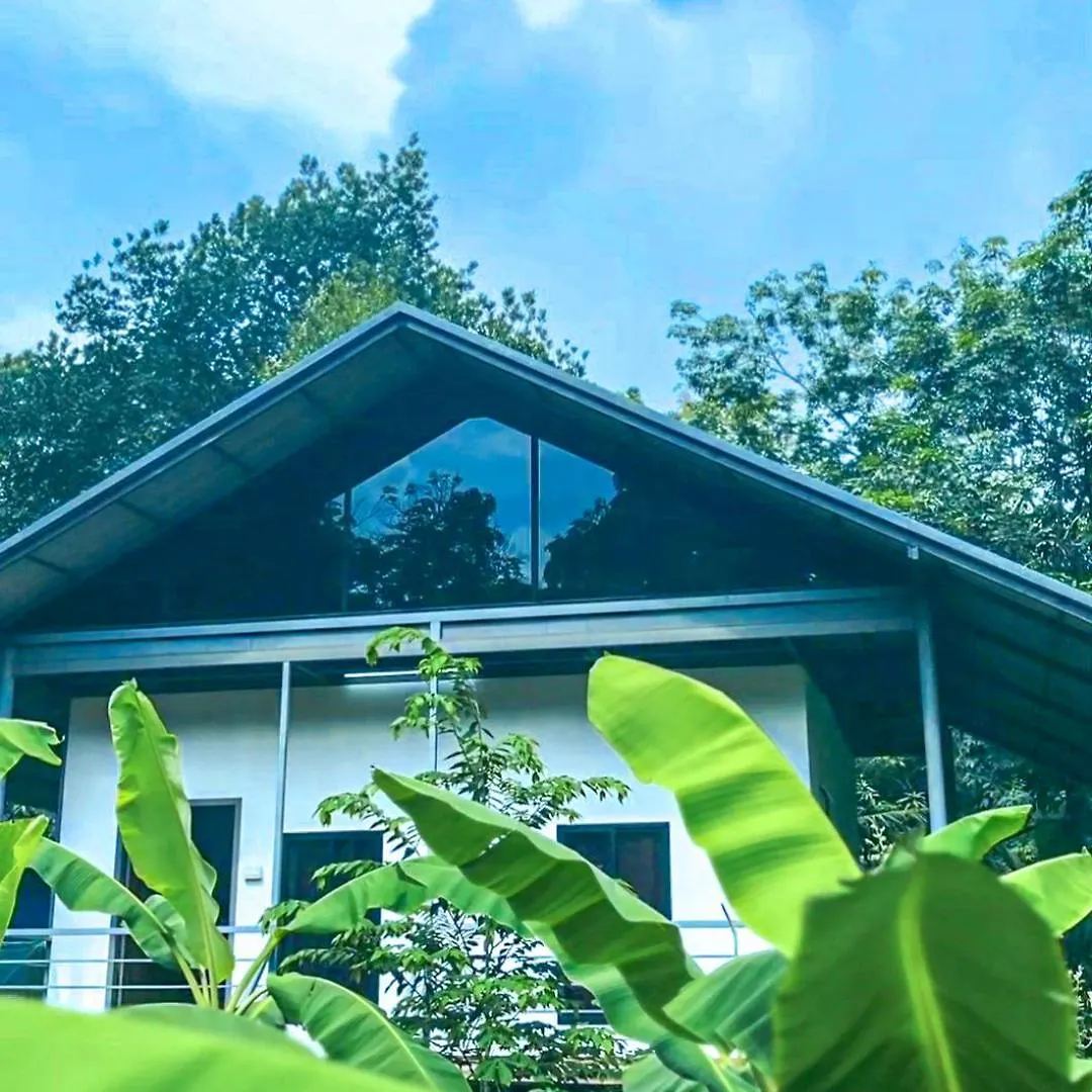 Daffodils Holiday Home Athirappilly